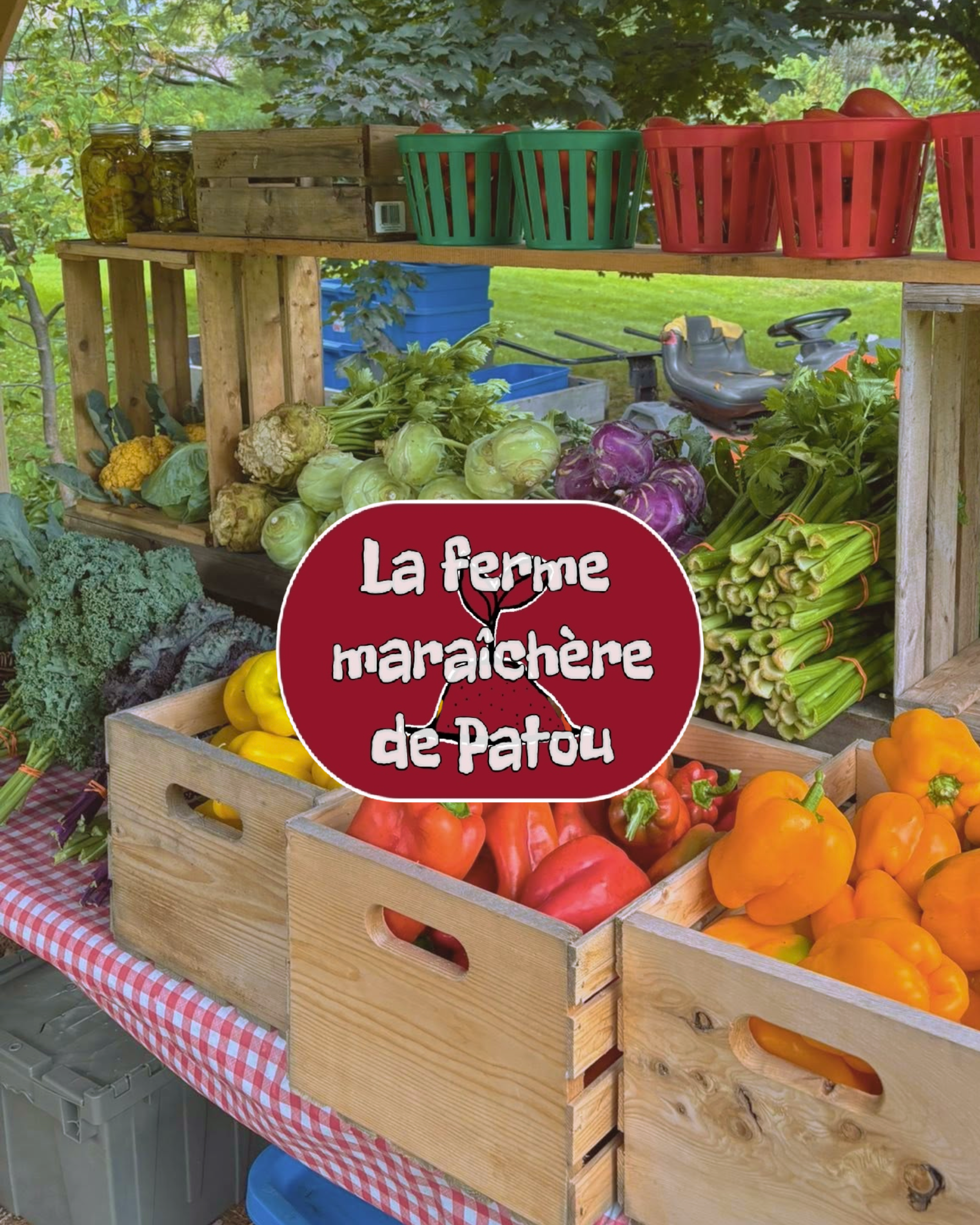 Une étagère en bois avec des paniers contenant des tomates, des poivrons, du céleri, du chou-fleur, du brocoli, des cornichons et d'autres légumes, dans un marché en plein air avec un fond d'arbres.