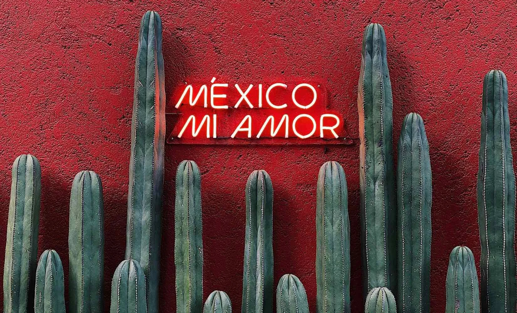 mexico mi amor famous sign and cacti in mexico city streets
