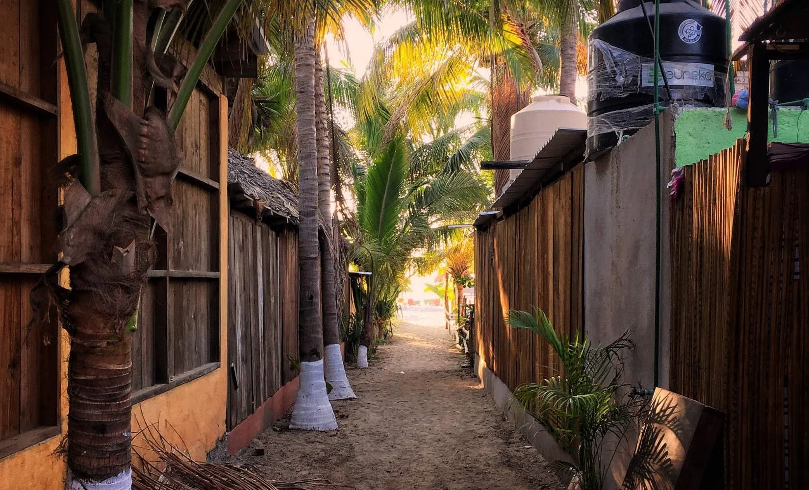 A short walk to the beach through a sandy, palm tree lined alley is one of the perks of life in Mexico
