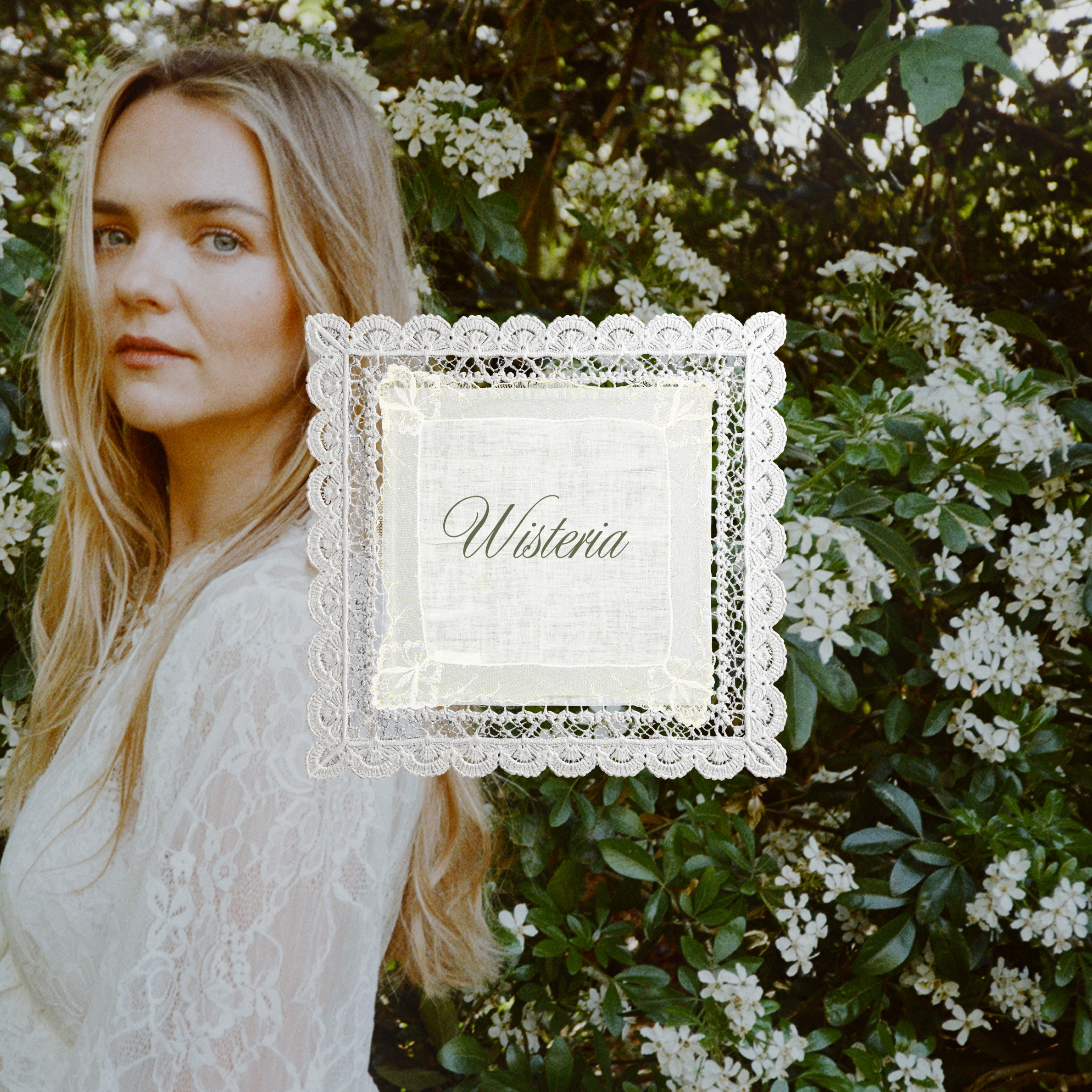 pre-save wisteria by Hannah Jane Lewis