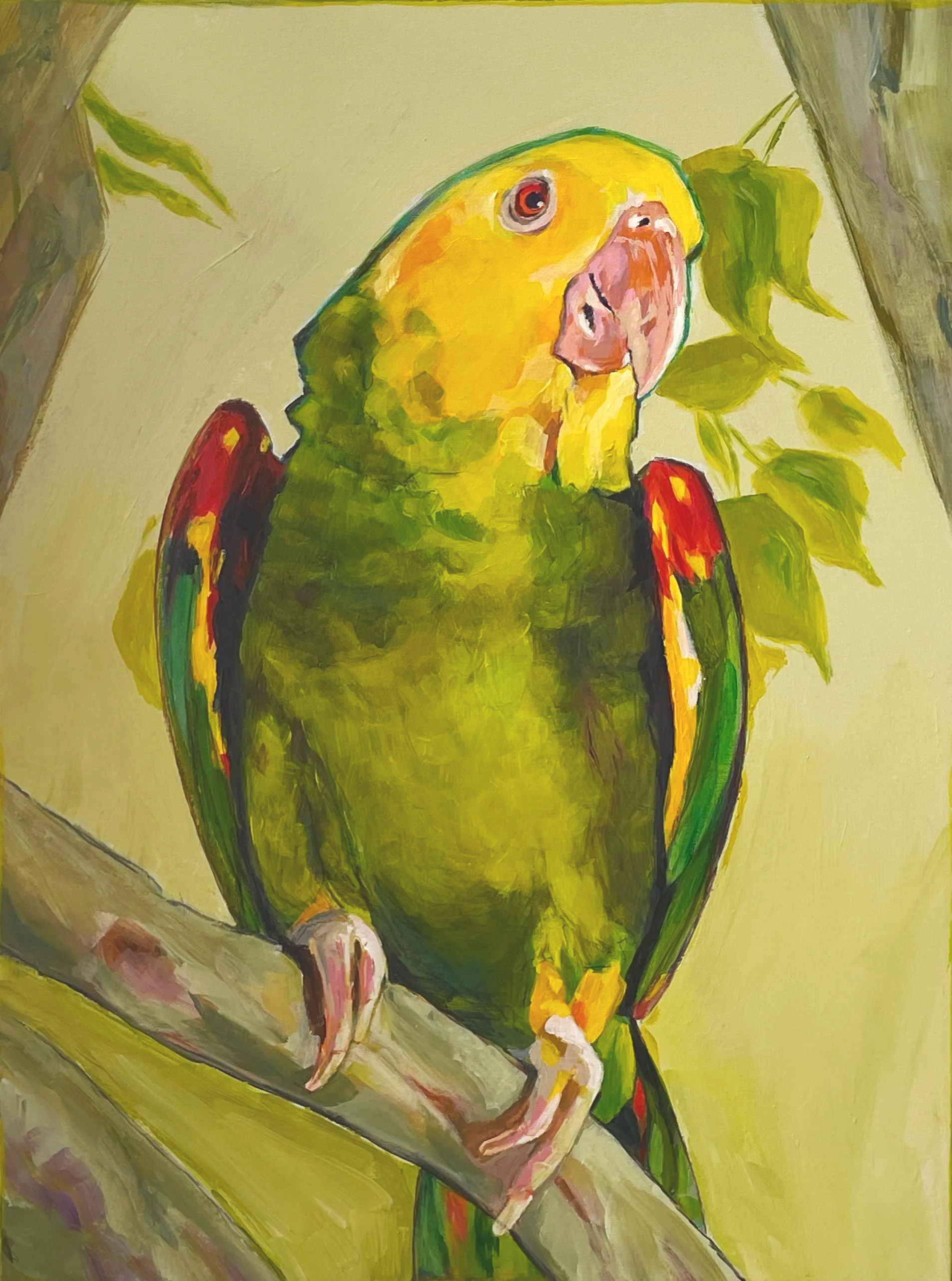 IMG_4802.png
