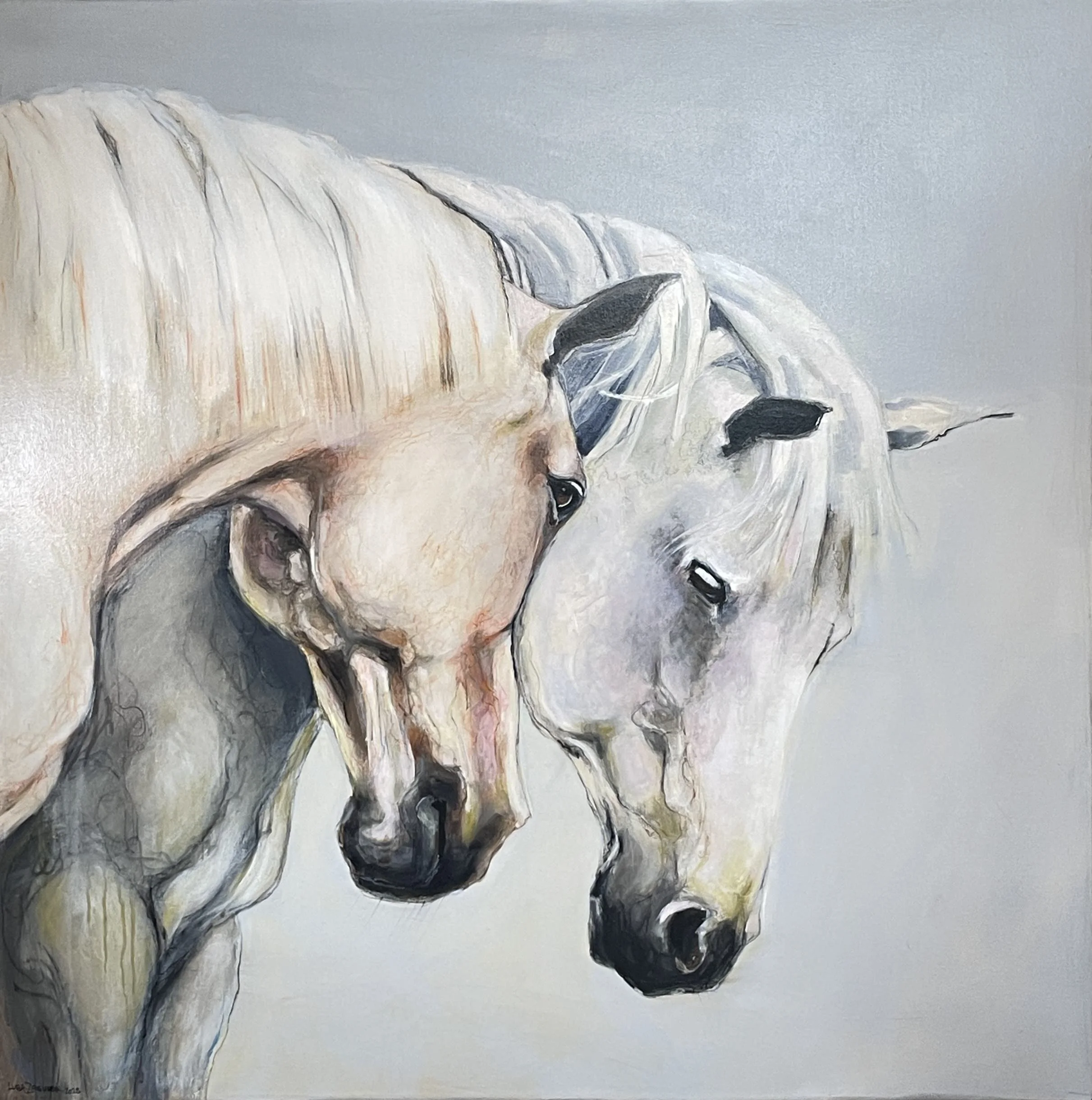 COMPANIONS II
38 x 38 Acrylic on canvas