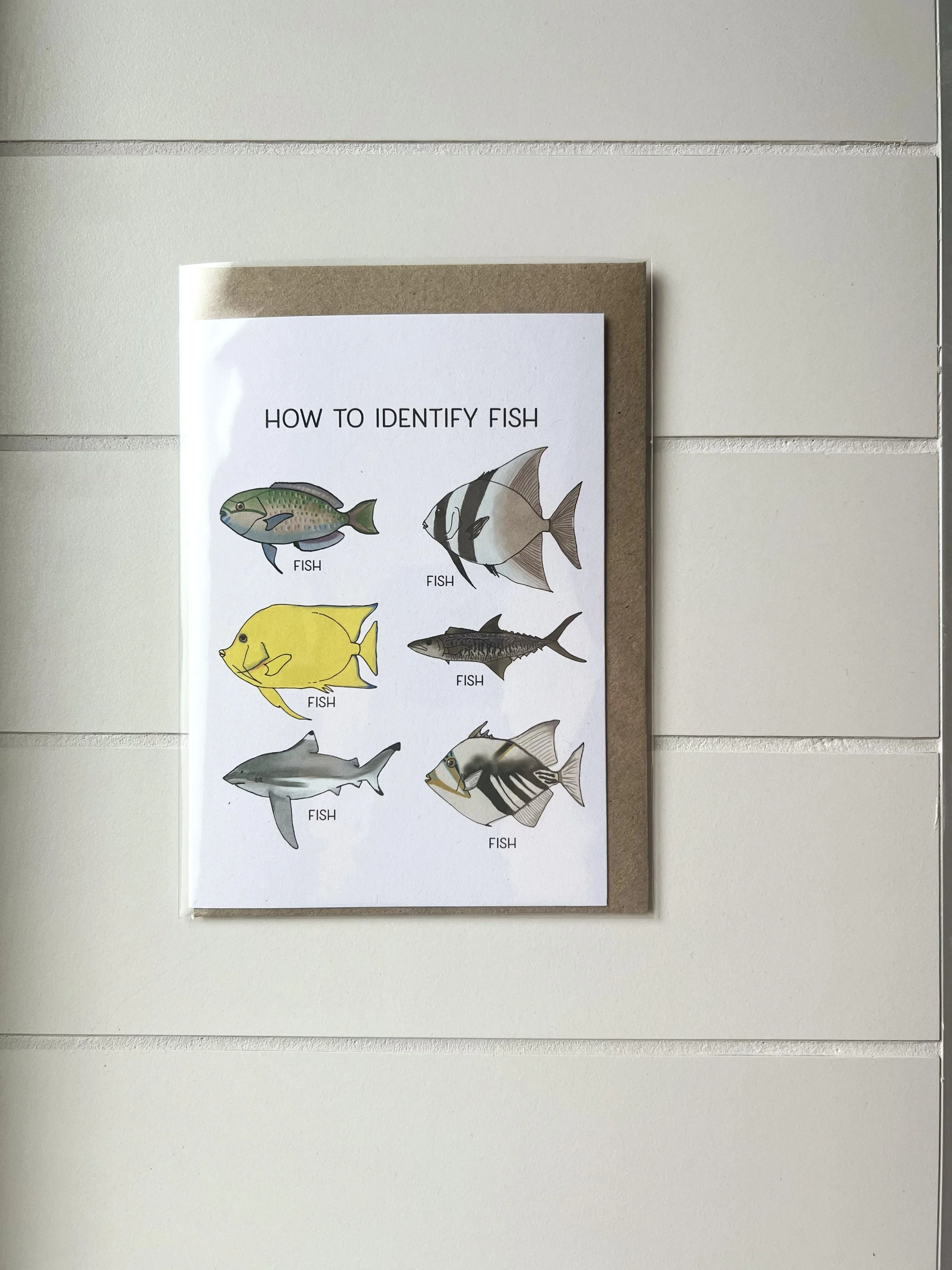 How To Identify Fish Card