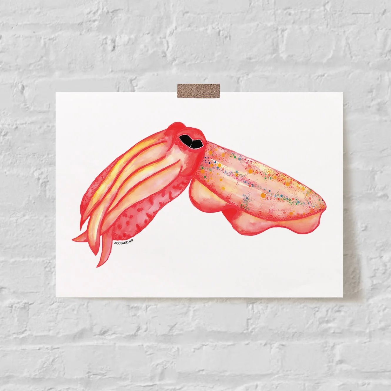 Red Cuttlefish Print