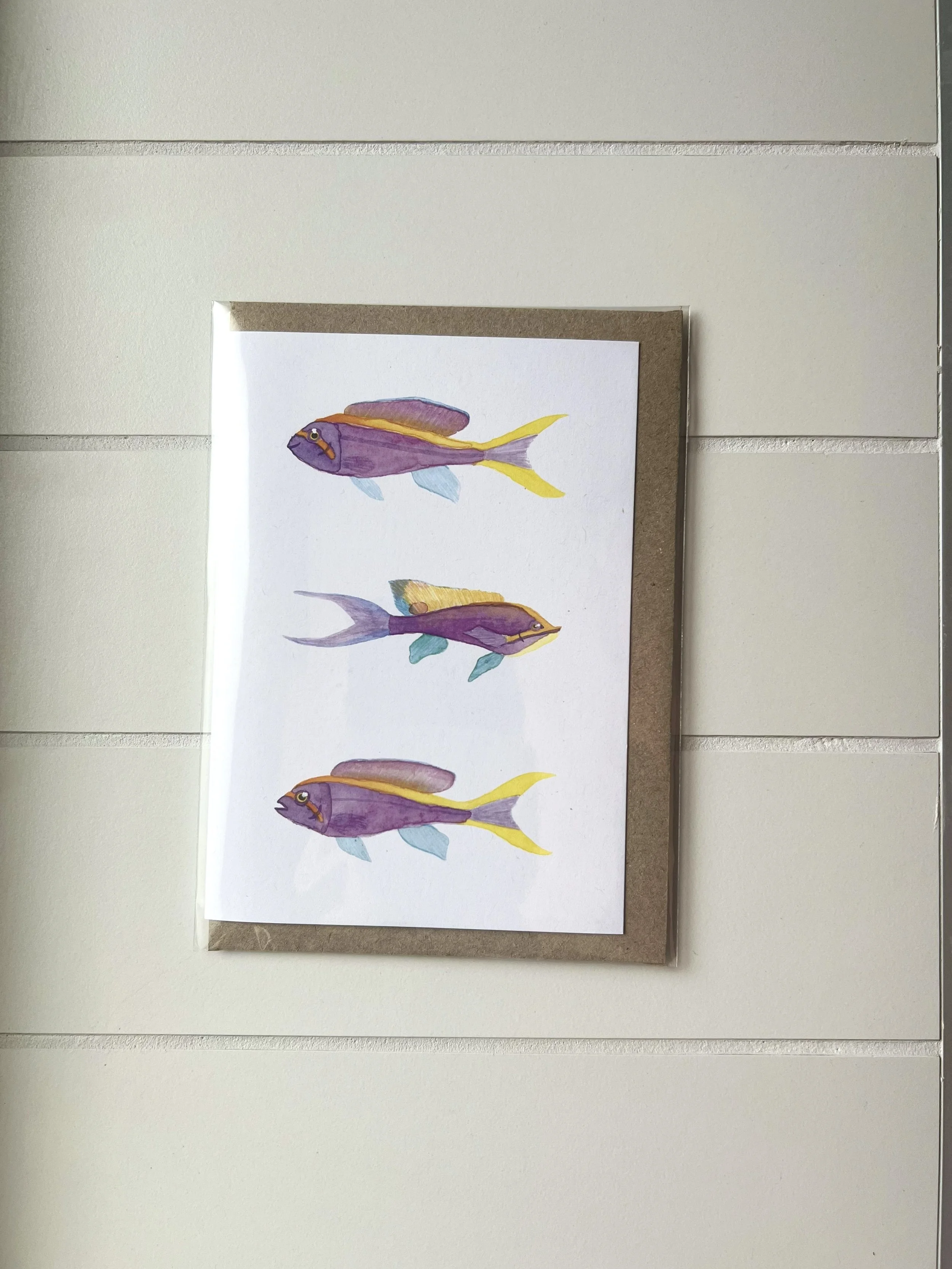Purple Queen Anthias Card