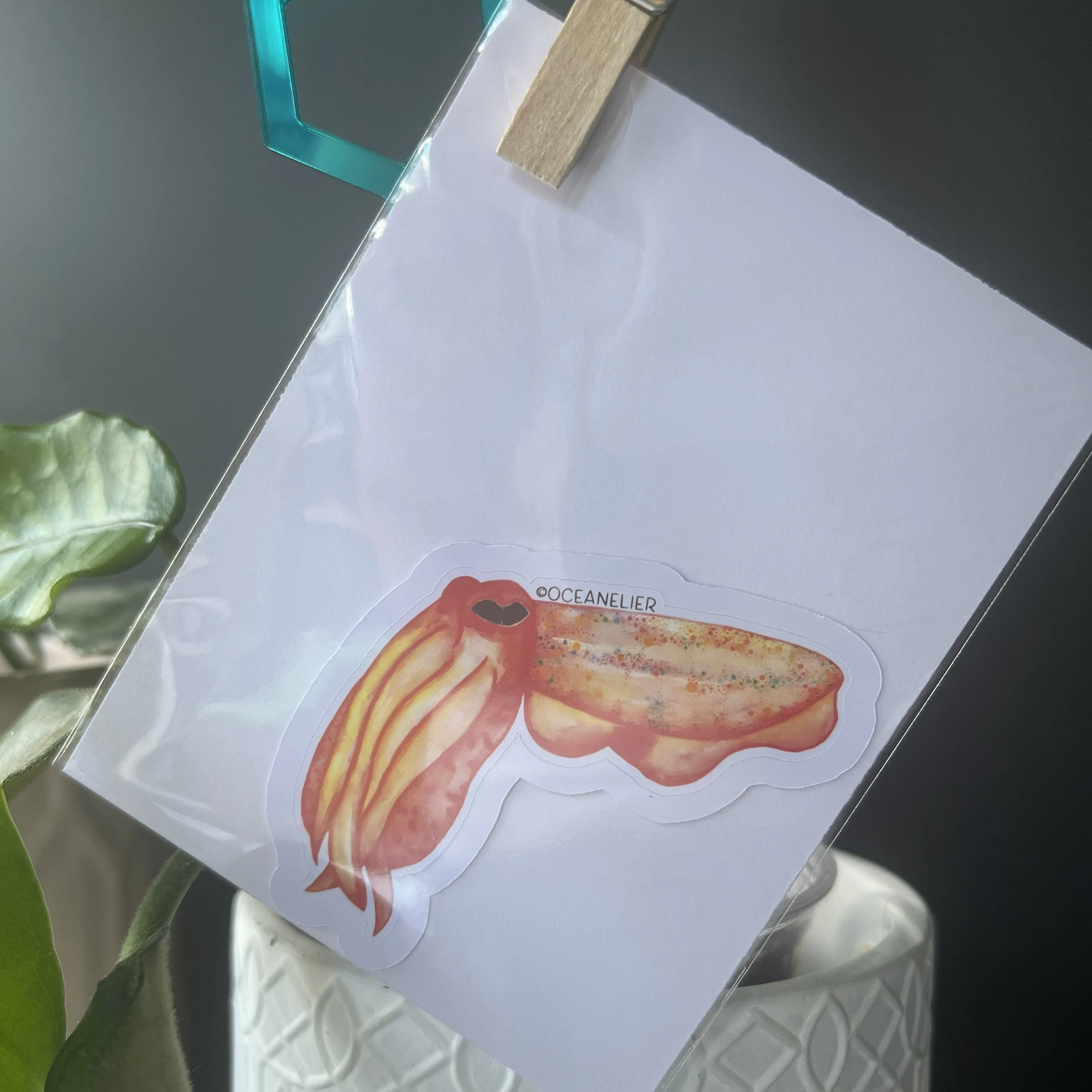 Red Cuttlefish Sticker