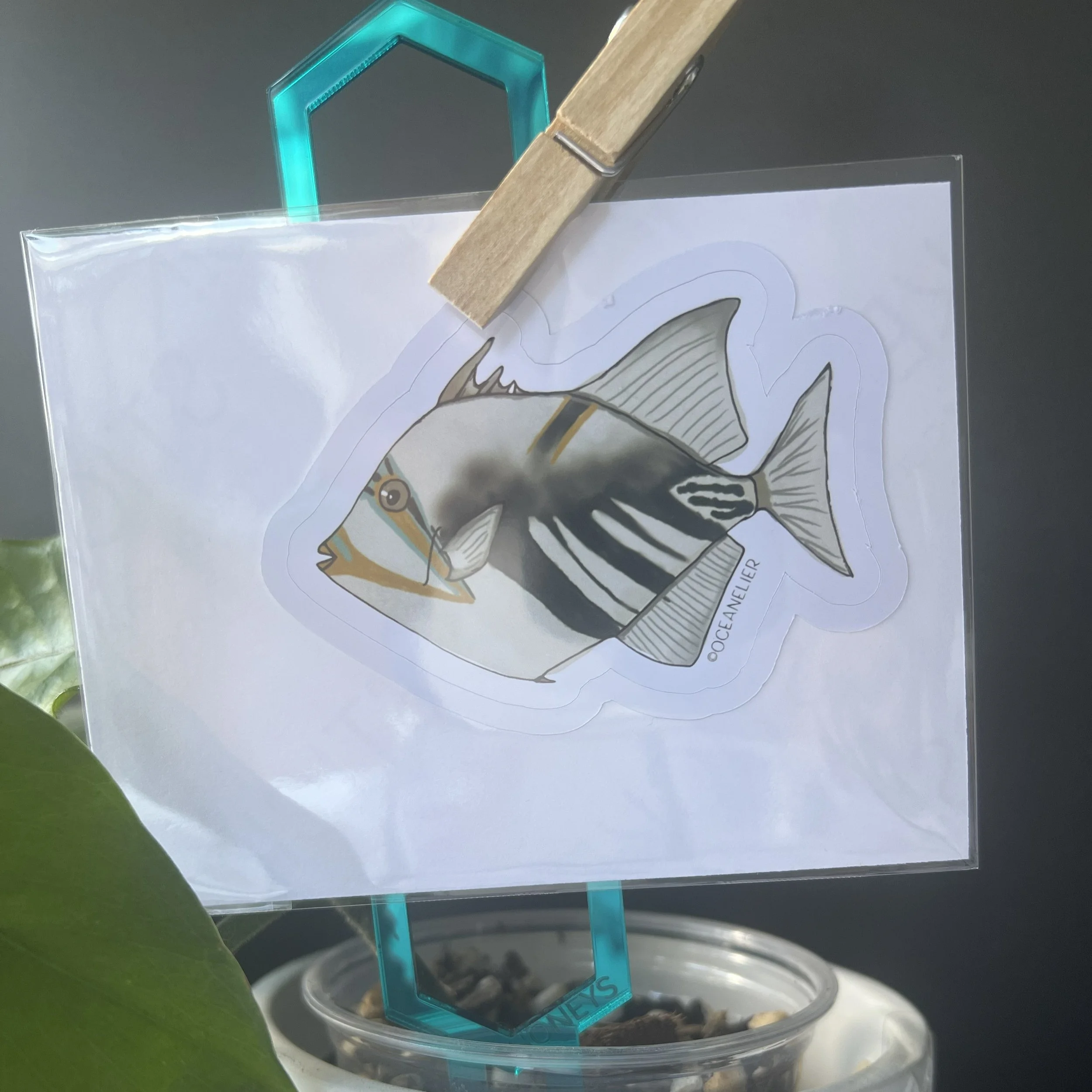 Picasso Triggerfish Sticker
