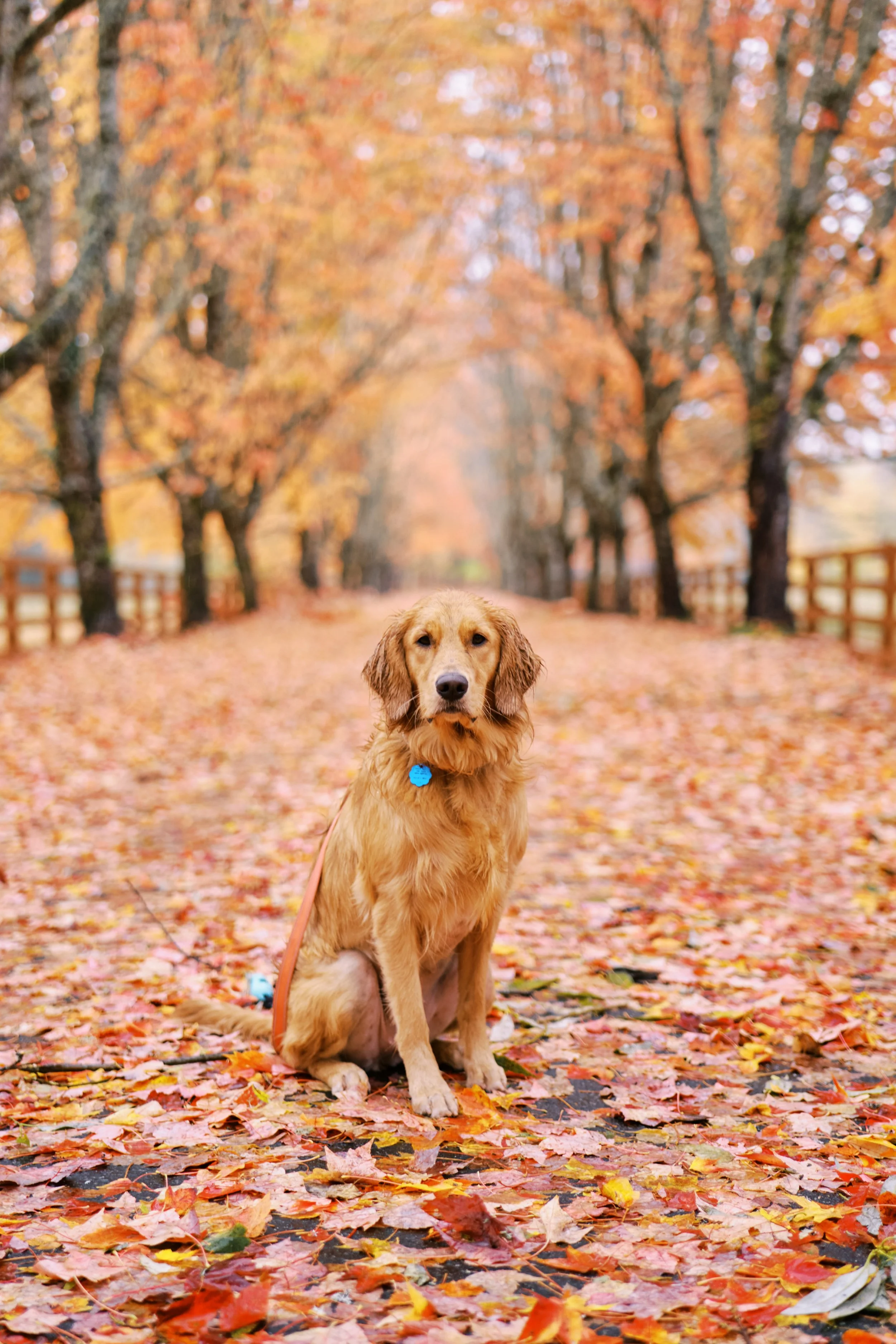 2025-FALL-073.jpg