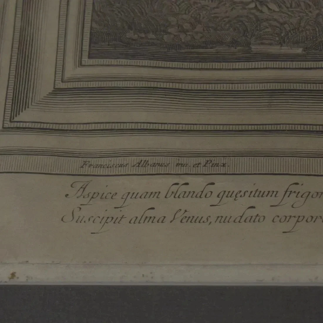 Close-up of an antique scientific or artistic drawing with Latin handwritten text underneath.