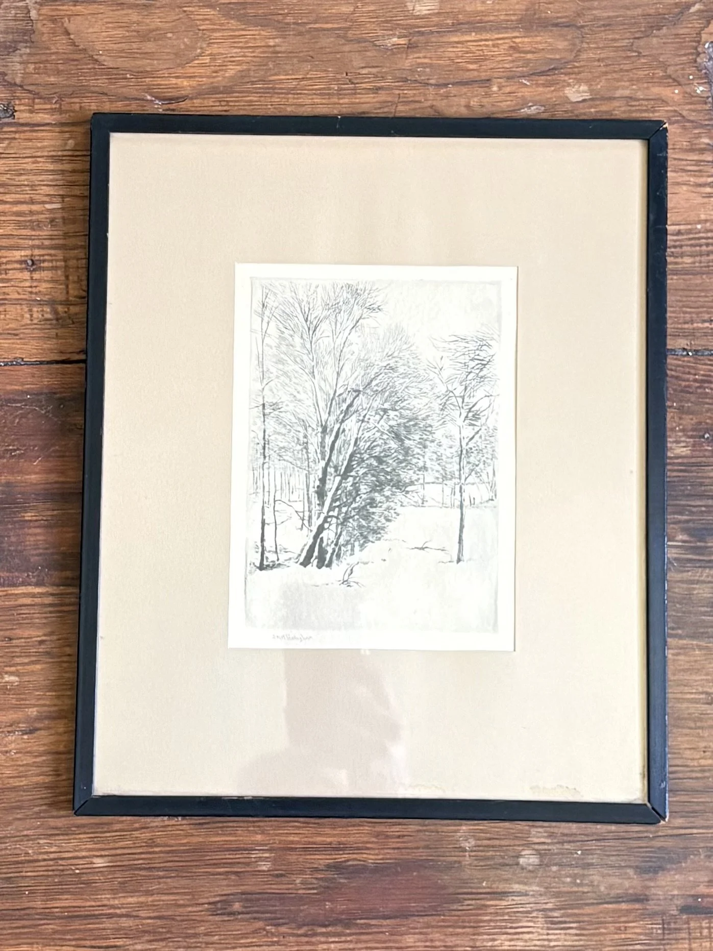 IMG_8983.jpeg