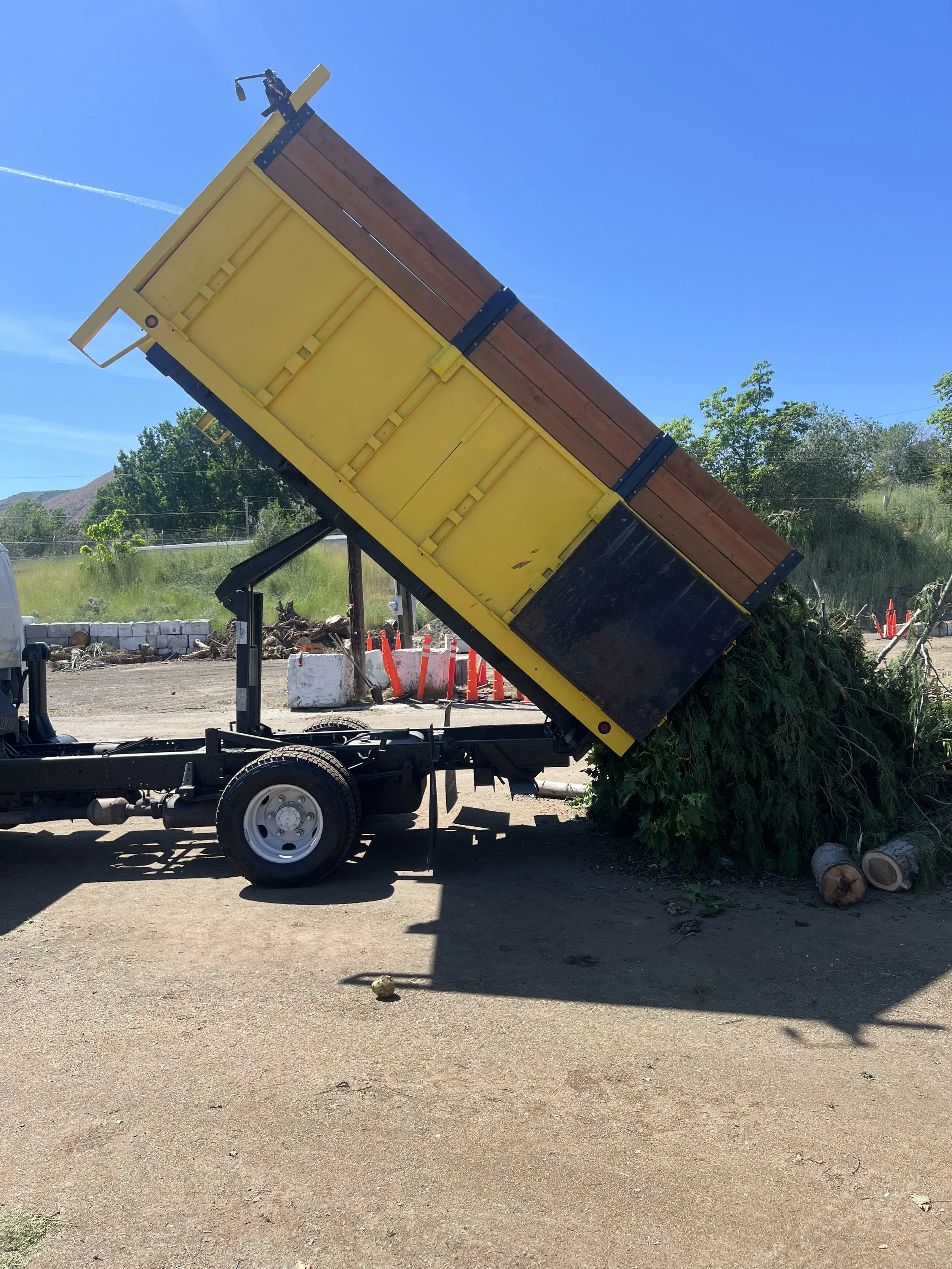 A dump truck with a yellow and black body is dumping a load of green foliage and branches at an outdoor location, with orange cones and trees in the background.