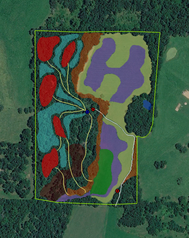 This is an example property where we did a comprehensive assessment and staged plan to maximize property value and performance. Access, deer bedding, turkey habitat and food plots where moved and structured with each other.