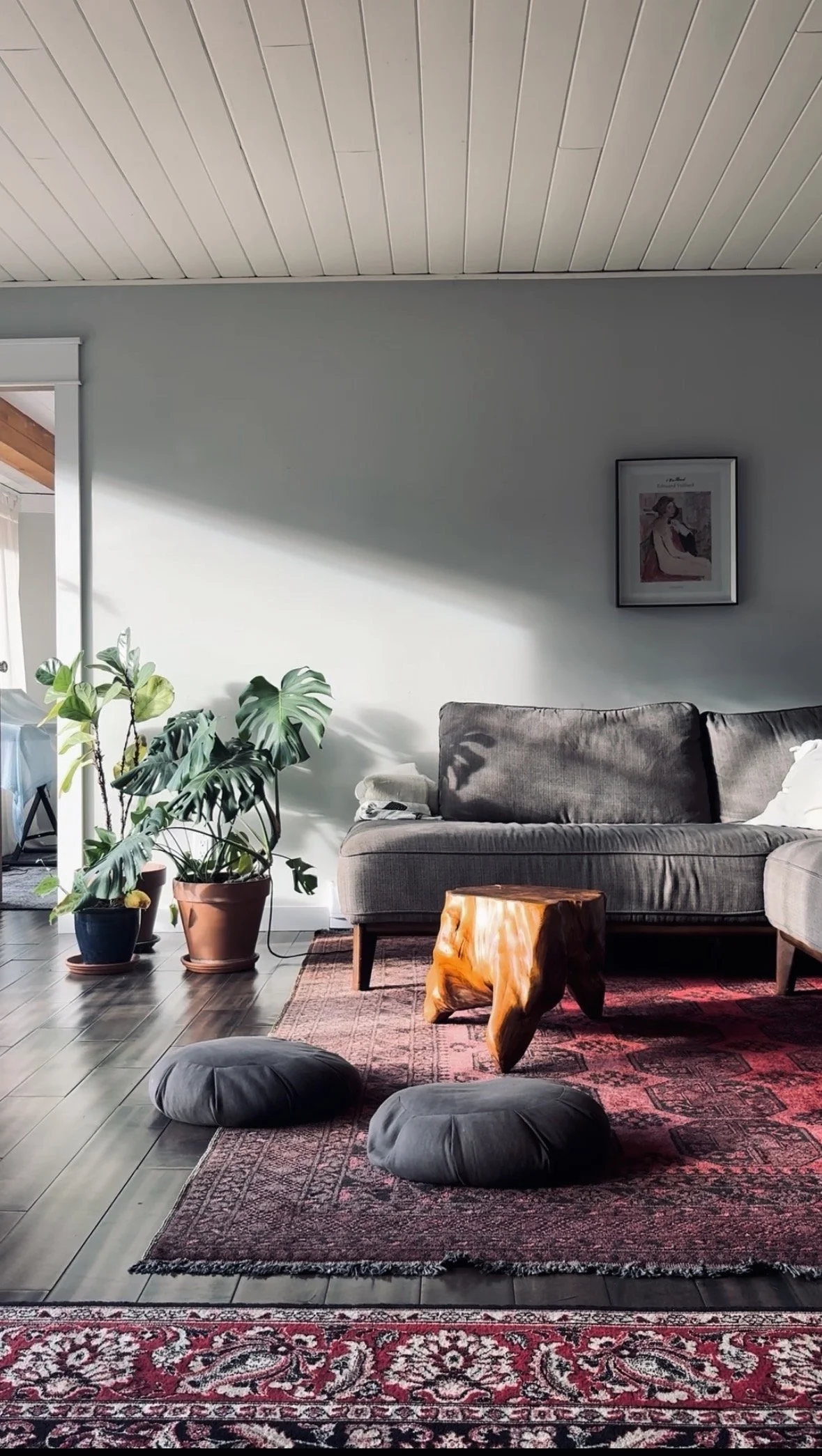 Amaya Mama's Living room, consultation room. Ayurvedic session area with a gray sofa, potted plants, framed artwork, and a wooden stool on a red patterned rug, sunlight casting shadows on the wall.