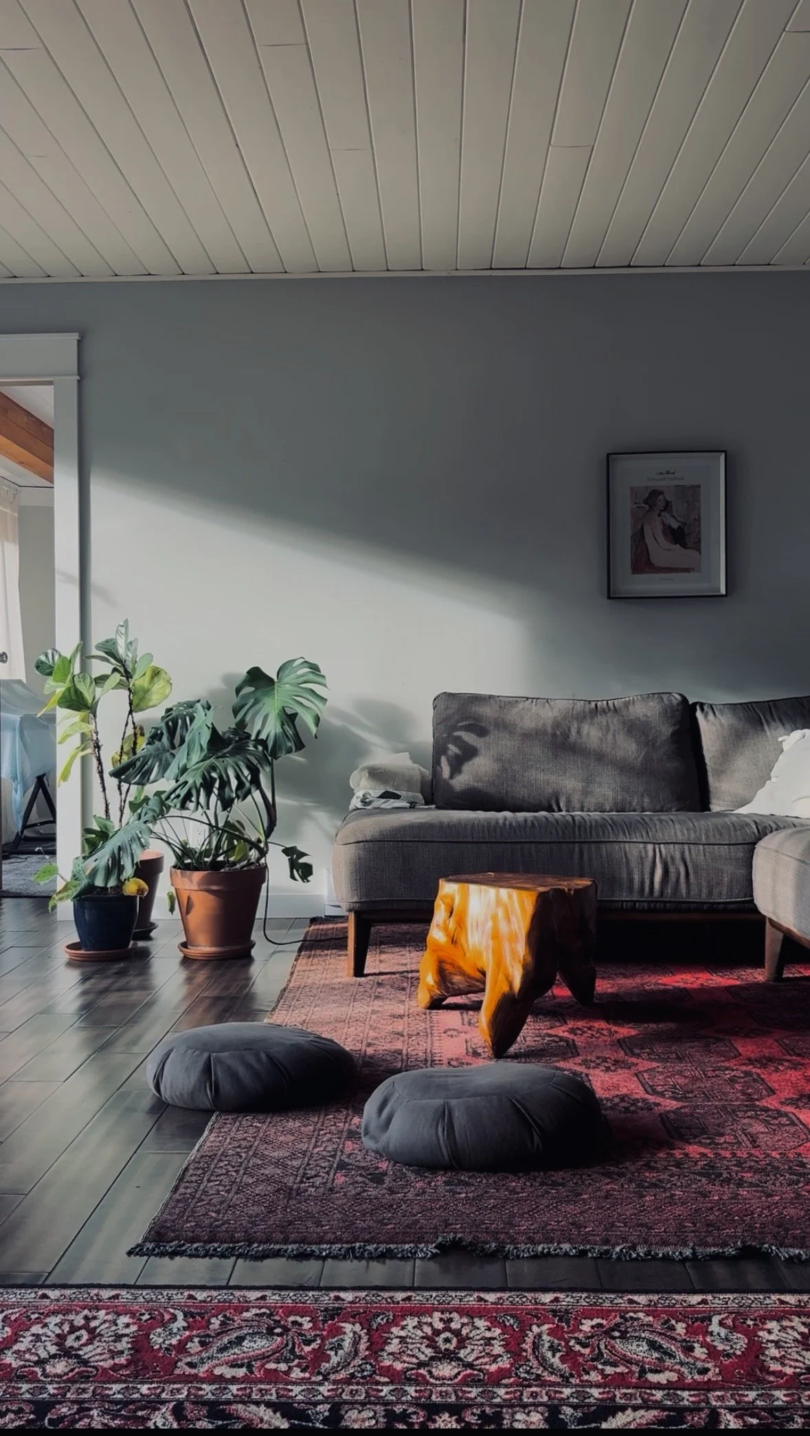 Amaya Mama's Living room, consultation room. Ayurvedic session area with a gray sofa, potted plants, framed artwork, and a wooden stool on a red patterned rug, sunlight casting shadows on the wall.
