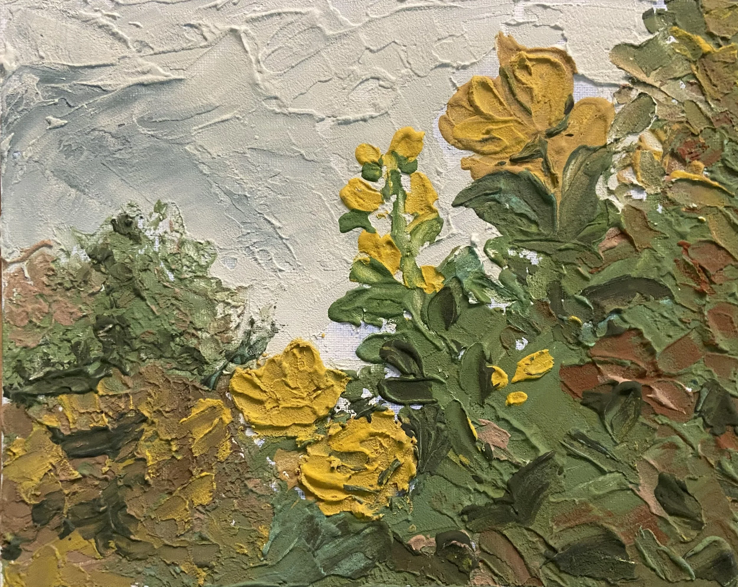 IMG_3444.jpeg