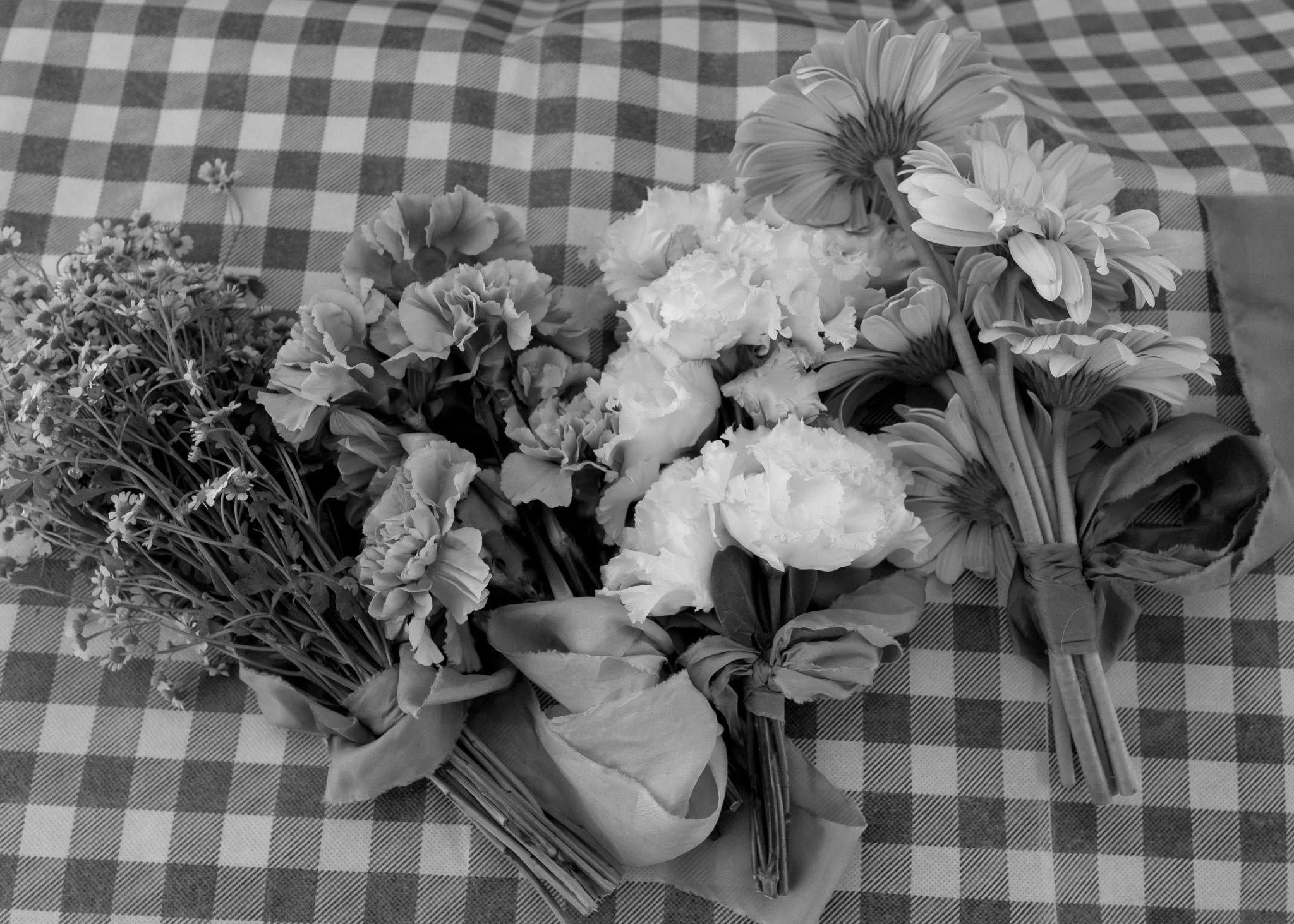 Megan & James - Seed & Salt Photography 36.JPG