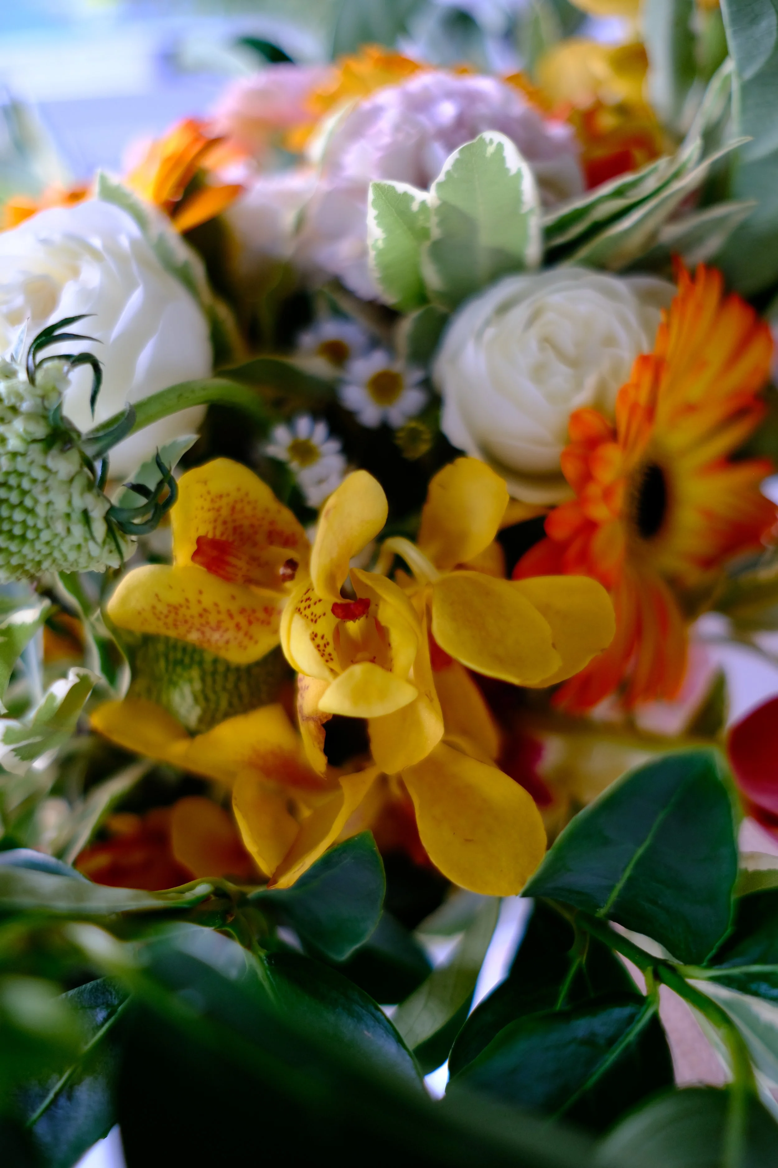 Bouquet Flowers by Salt & Bloom Co