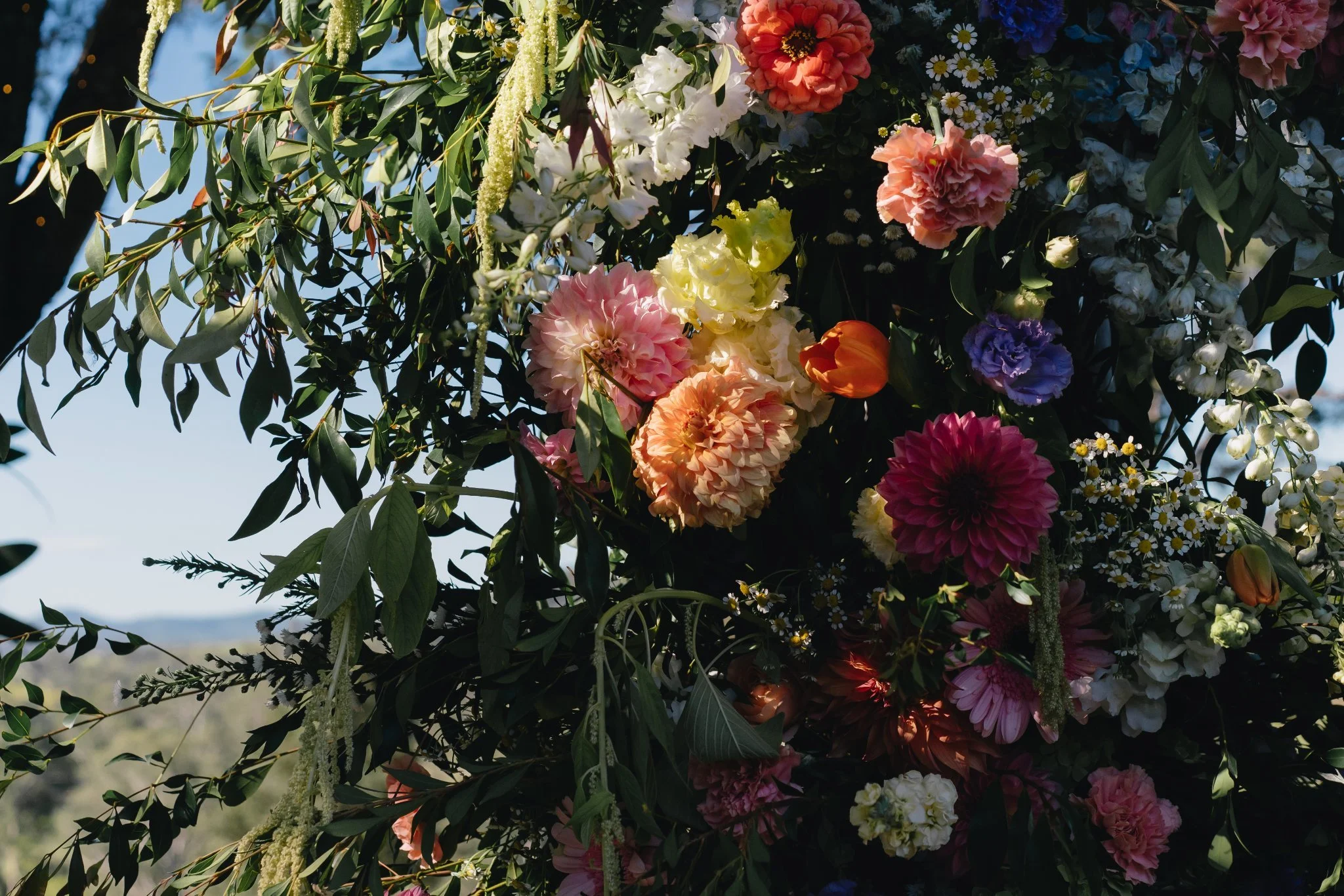 Megan & James - Seed & Salt Photography 22.JPG