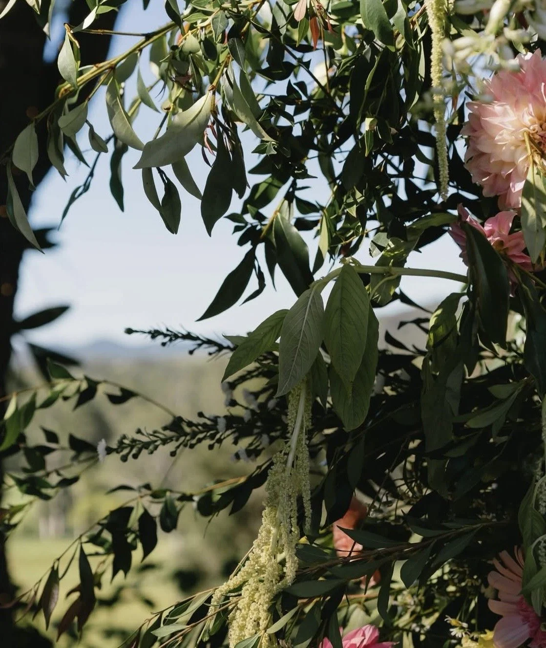 Megan & James Wedding - Seed & Salt Photography 2.jpg