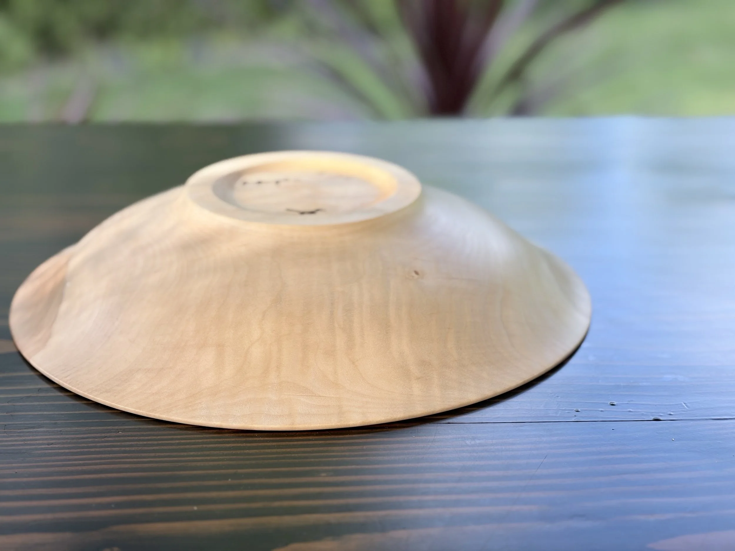 A seashell placed on a black wooden surface with a blurred background of green and purple foliage.