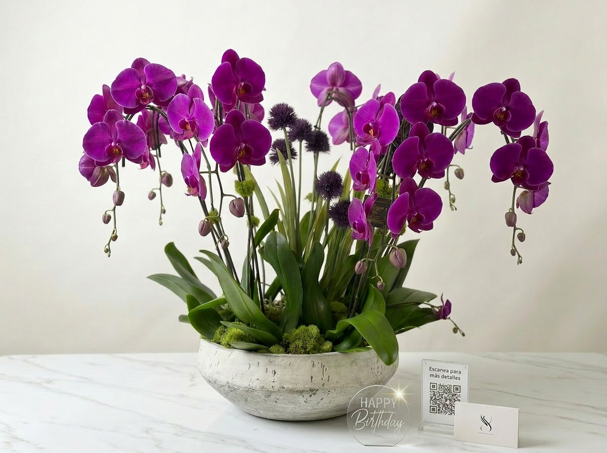 The Signature Orchid