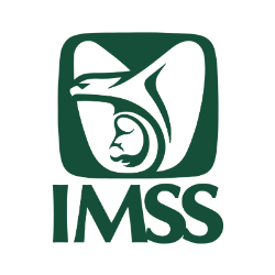 IMSS.png