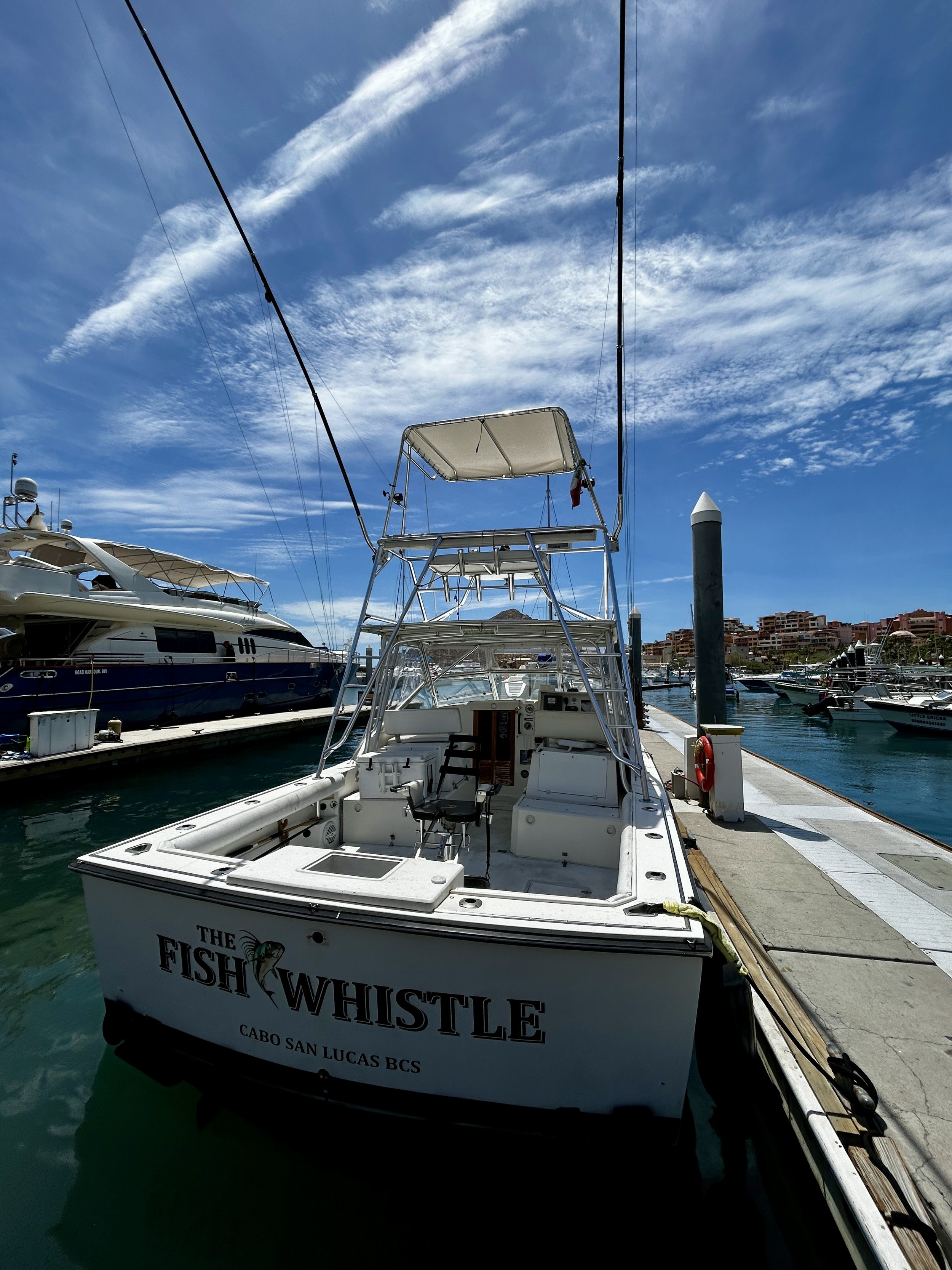 FISH WHISTLE 35' BLACK WATCH SPORTFISHING CHARTER