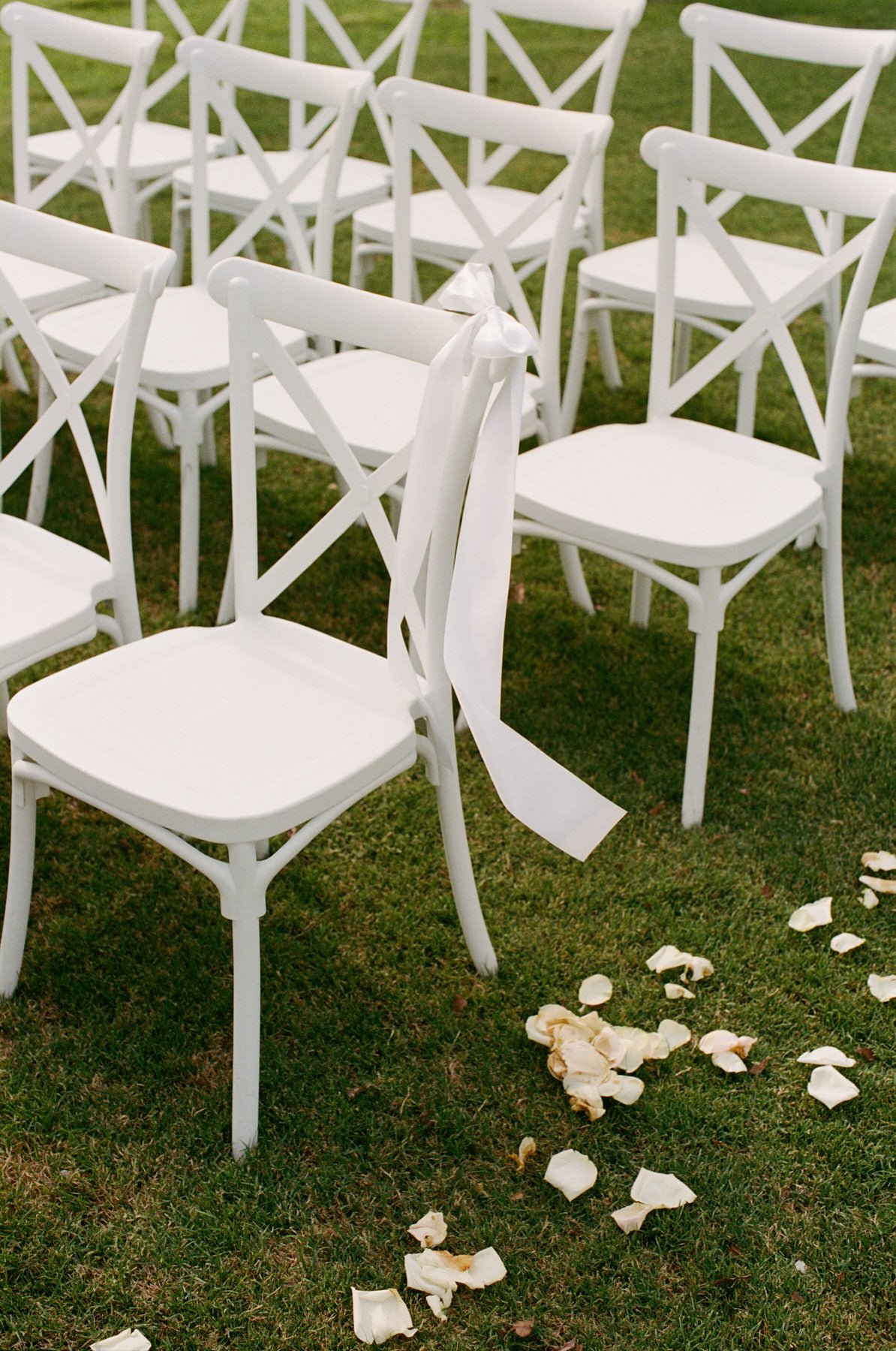 Image26 4.jpg