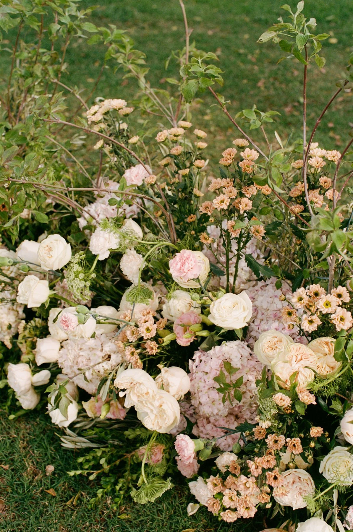 Image25 4.jpg