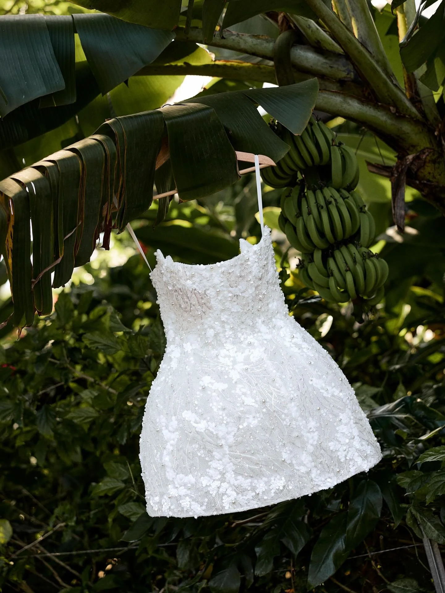 The morning of ~ Jaz &amp; Myles in Vanuatu ♡ 
.
.
.
.
.
.
#goldcoastweddingphotographer #weddingphotographer #goldcoastphotographer #destinationweddingphotographer #weddingphotographer