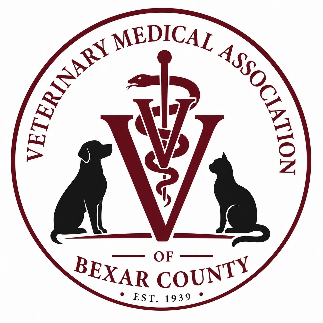VMABC image.jpg