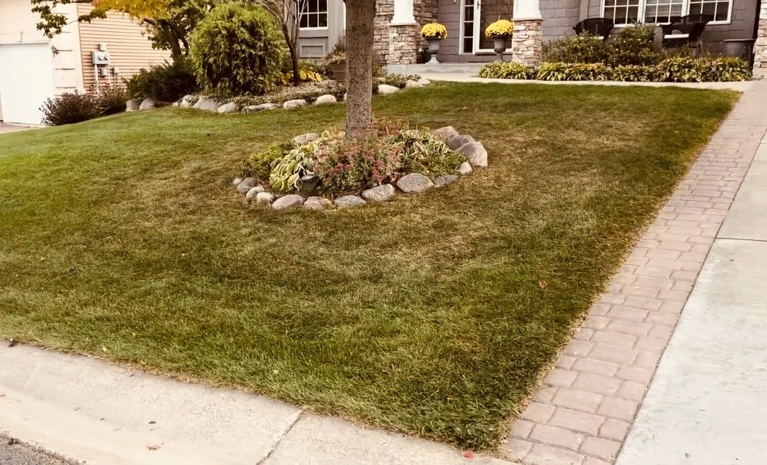 Lawn Mowing & Yard Maintenance