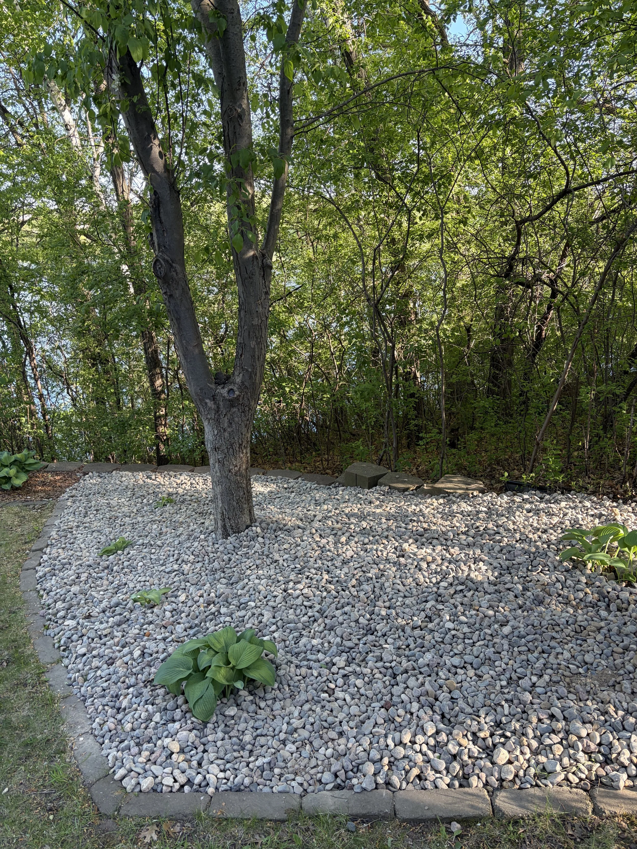Mulch/Rock Installation