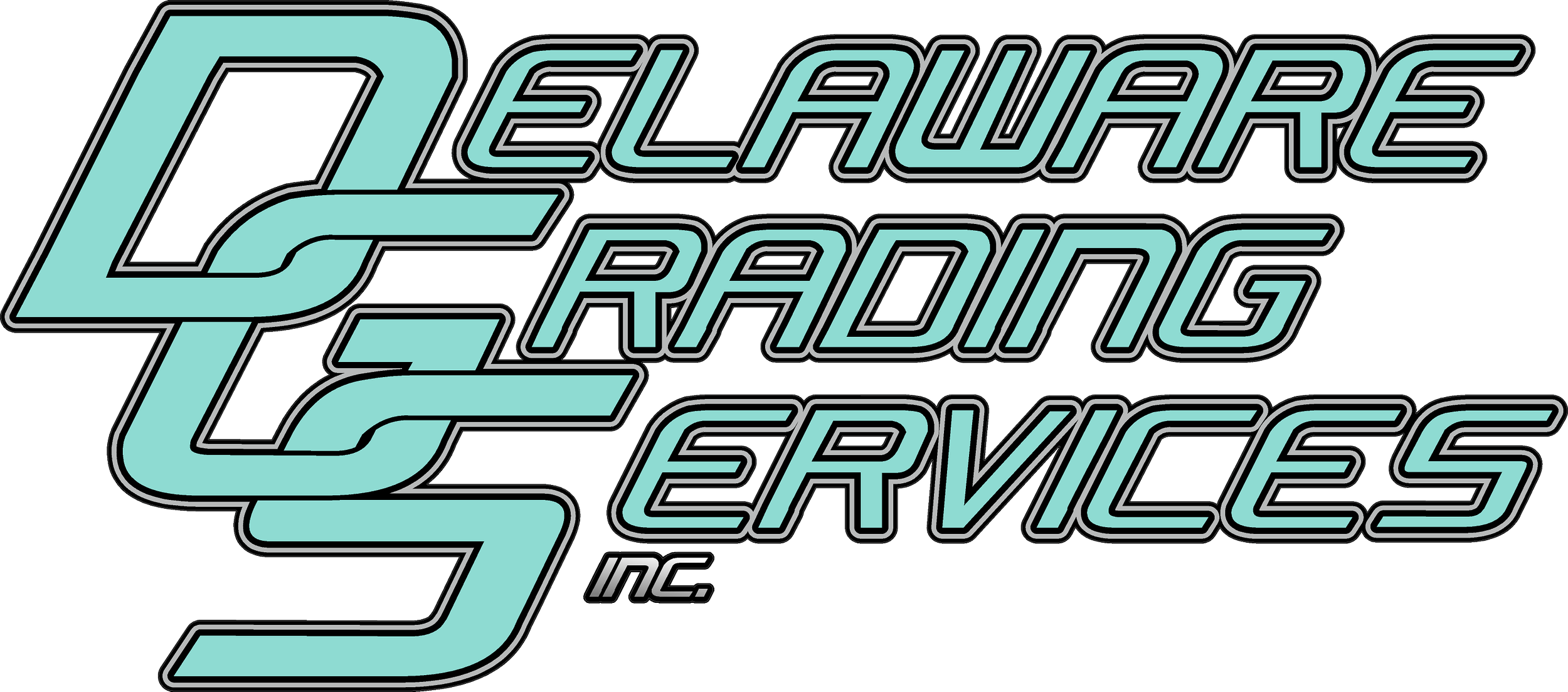 Logo for DELAWARE GRADING SERVICES INC. in stylized light blue and black text.