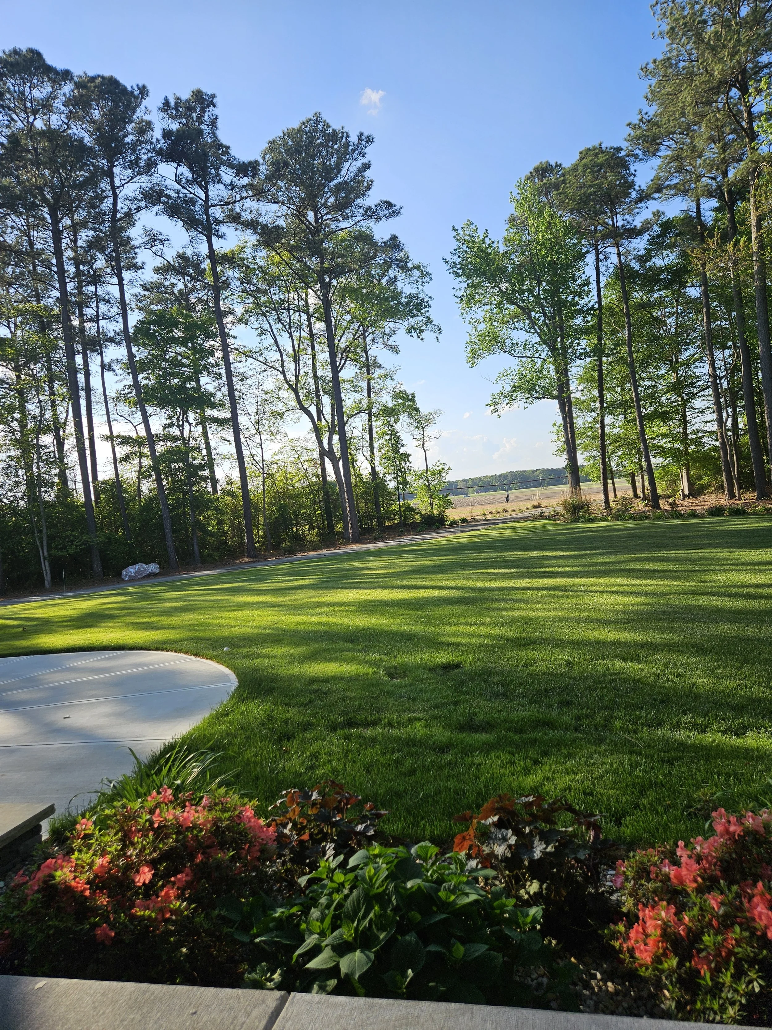 A landscaped backyard with a green lawn, colorful flowers, and tall trees under a clear blue sky.