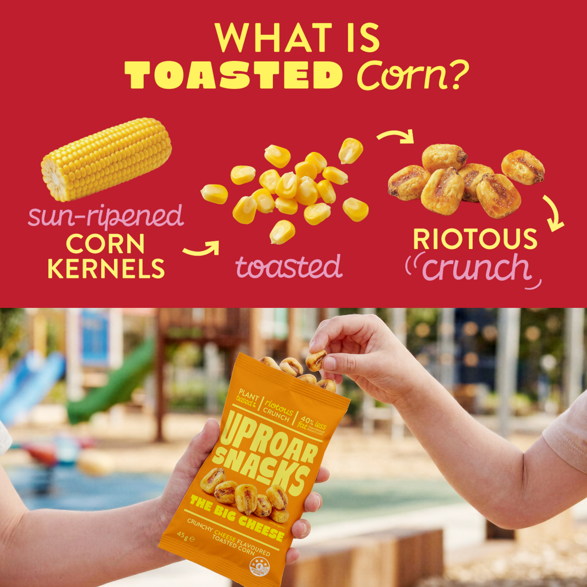 What is toasted corn.png (Copy)