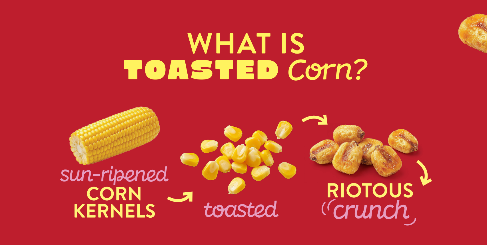 An infographic explaining toasted corn. It shows a sun-ripened corn cob, labeled as corn kernels, and toasted corn kernels, which are described as riotous crunch, with arrows indicating the transformation from corn kernels to toasted popcorn.