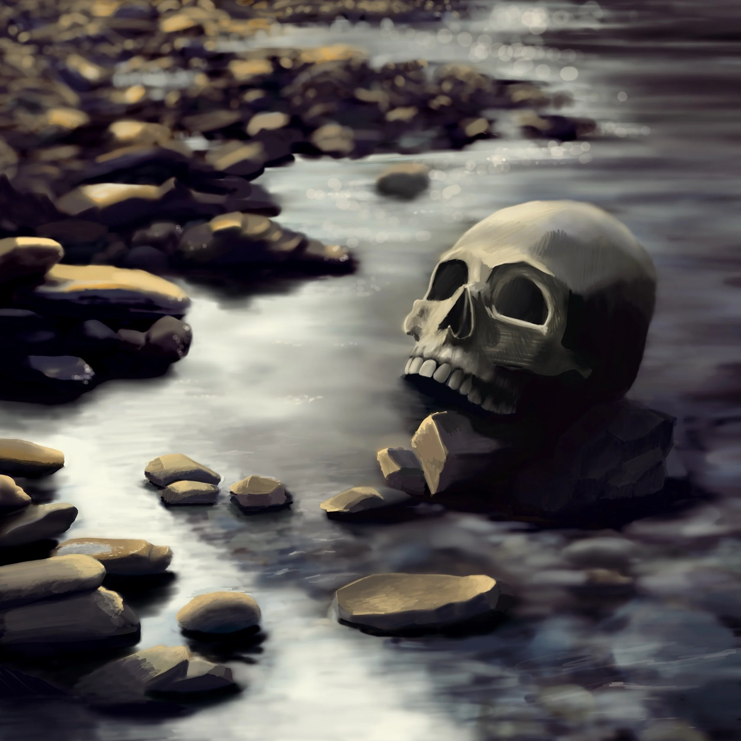 A human skull resting on a rocky riverbank with water flowing nearby.