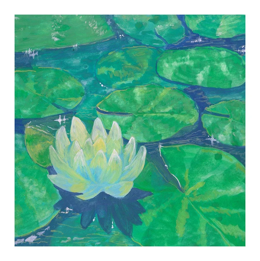 Lilypads  |  Study, Print
