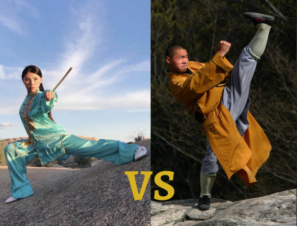 Shaolin Kung Fu and Modern Wushu: Two Paths of the Same Martial Spirit