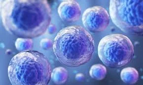 Illustration of blue and purple human cells or bacteria floating in a blue background.