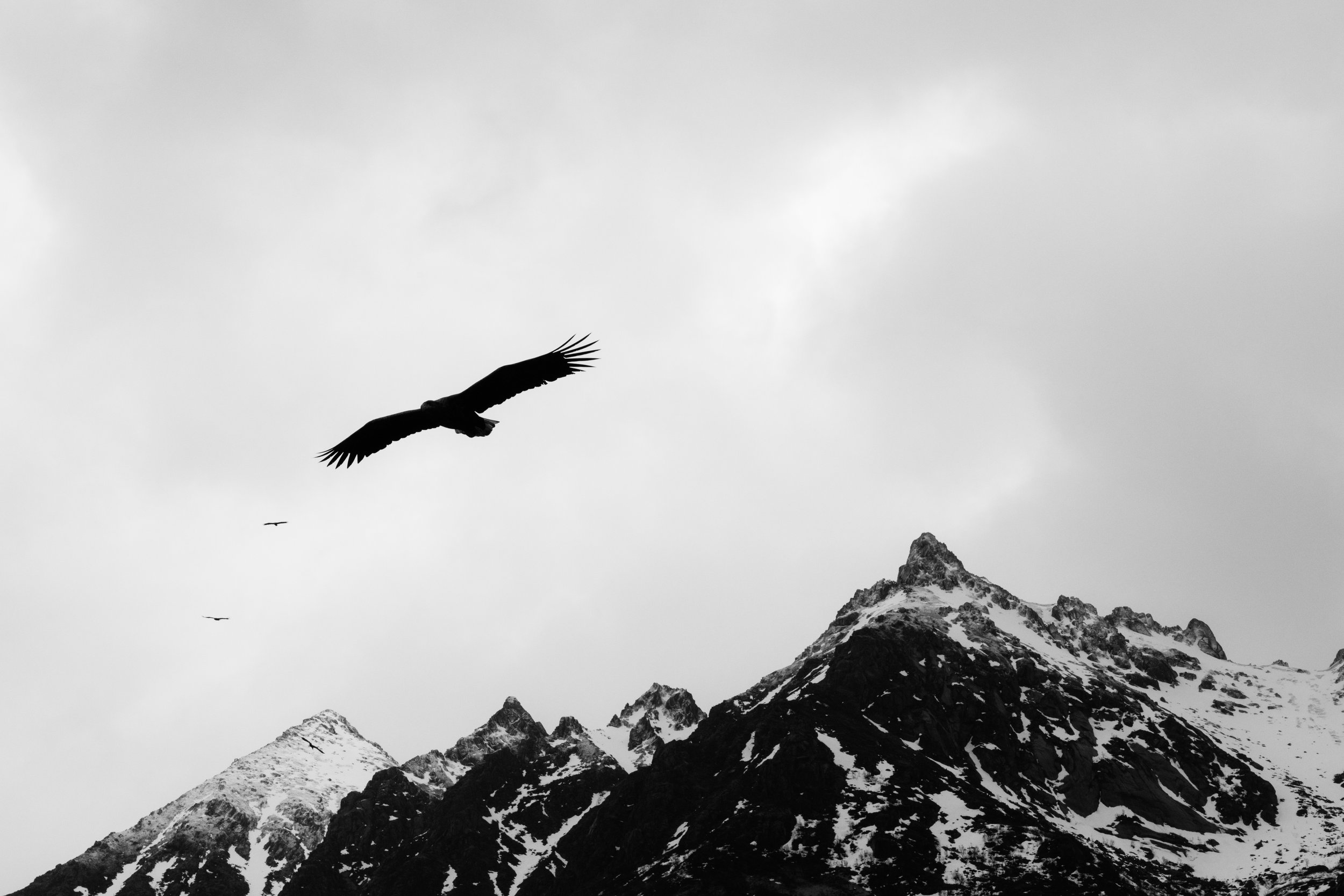 Norway Finals-11.jpg