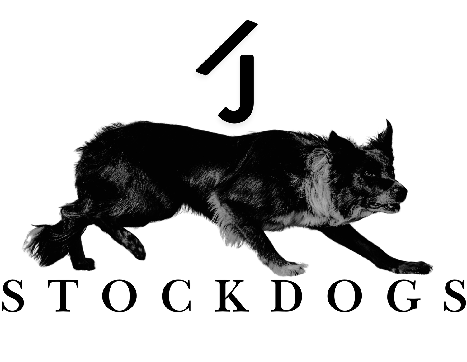 Slash J Stockdogs