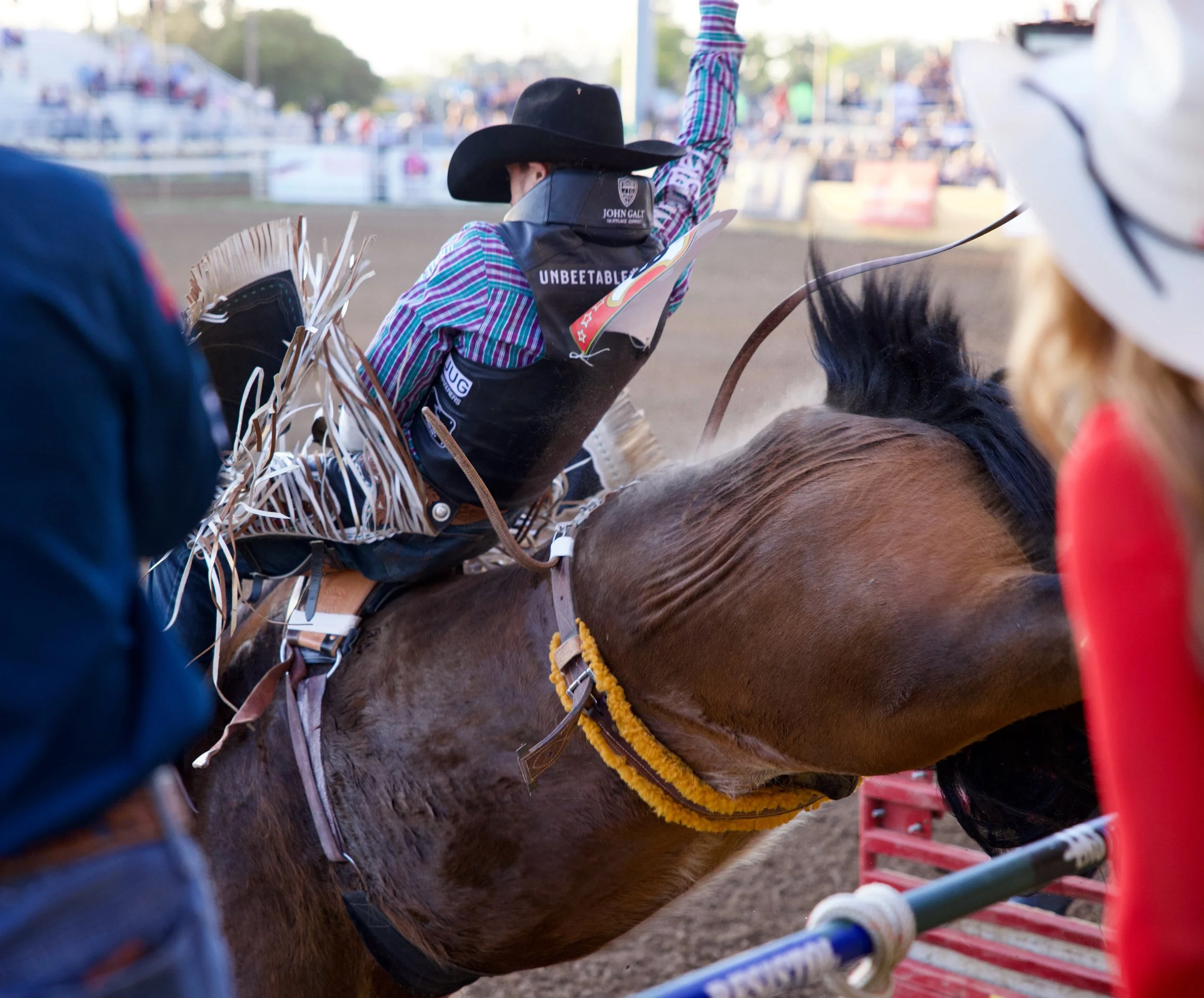 The spirit of rodeo lives in moments like this. As the bronc launches from the chute, this cowboy puts grit, determination, and years of hard-earned skill on full display. Every ride is a test of courage, every second is a battle, and every arena tel