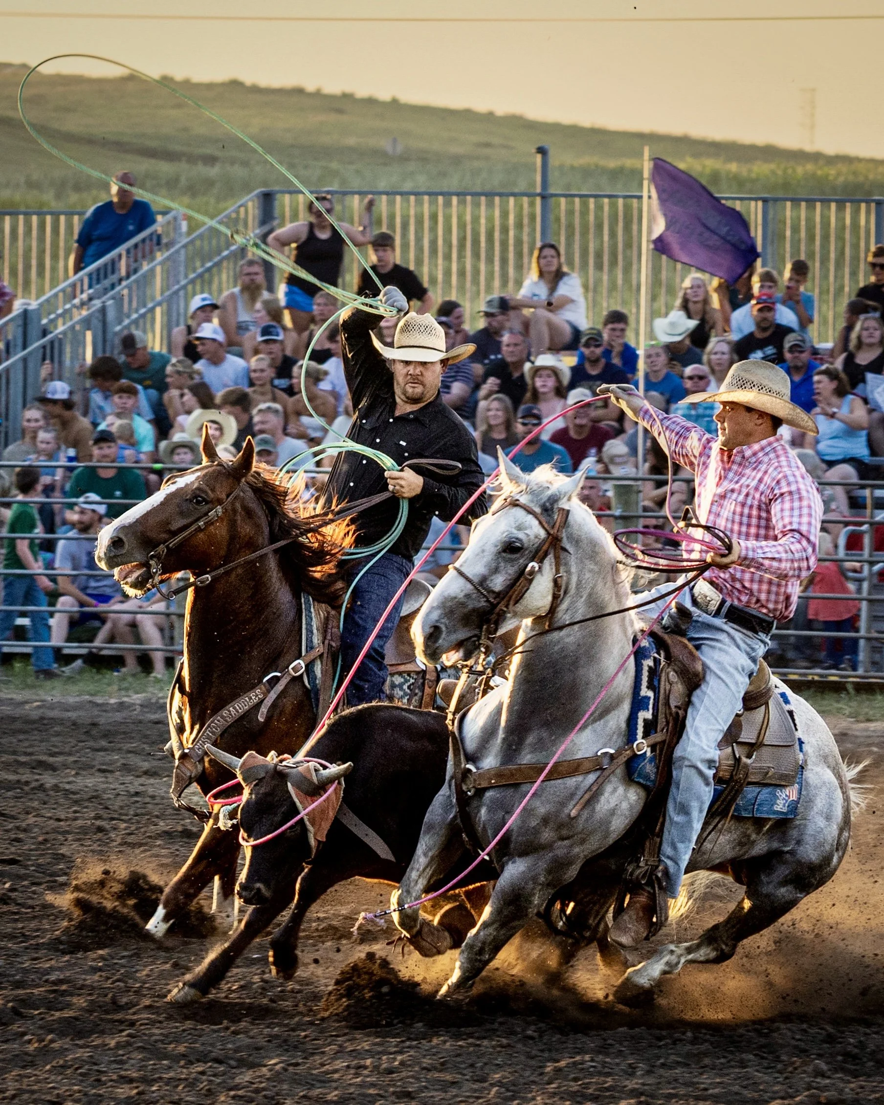 Two rodeo cowboys race on horseback, holding lassos, with a crowd watching behind a fence in the background during sunset.