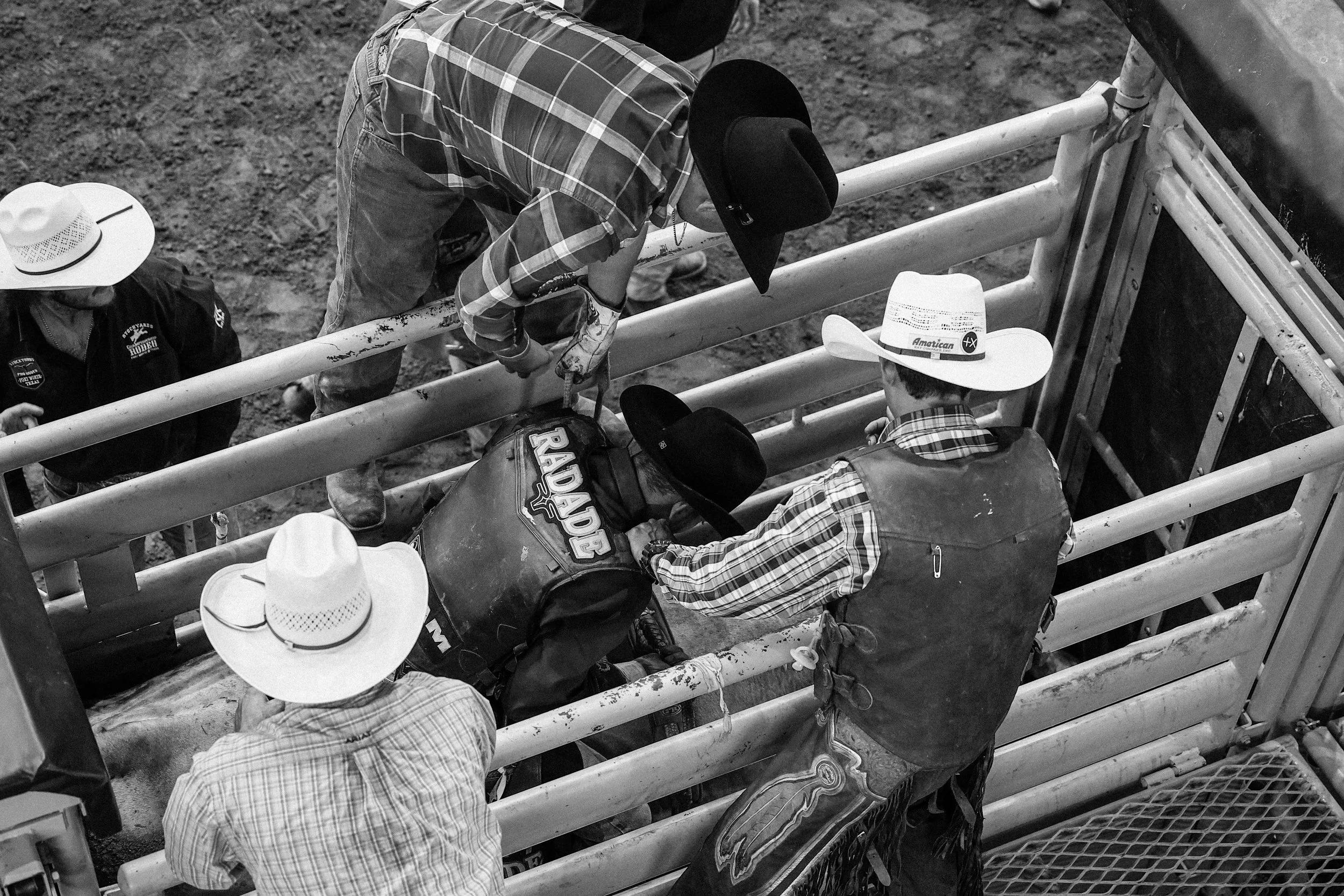 Stockyards looking down on the chute-12.jpeg