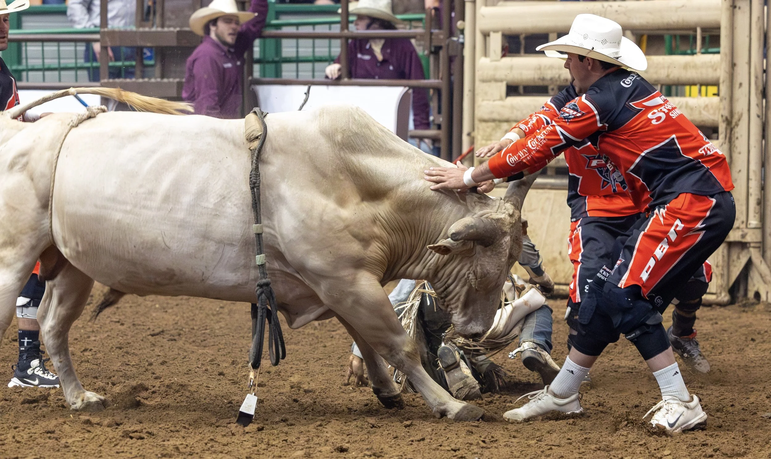 PBR 052826-213.jpeg