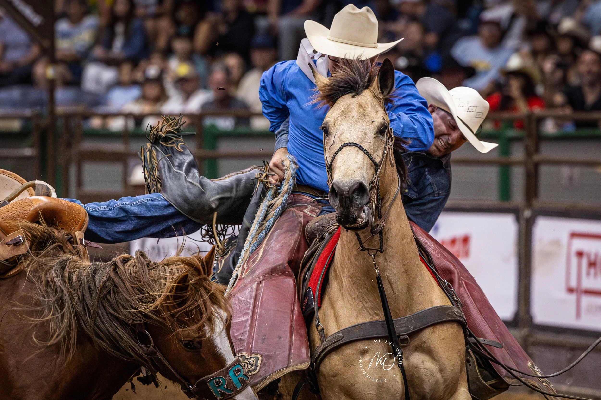 Two cowboys riding horses at a rodeo, with a crowd in the background.