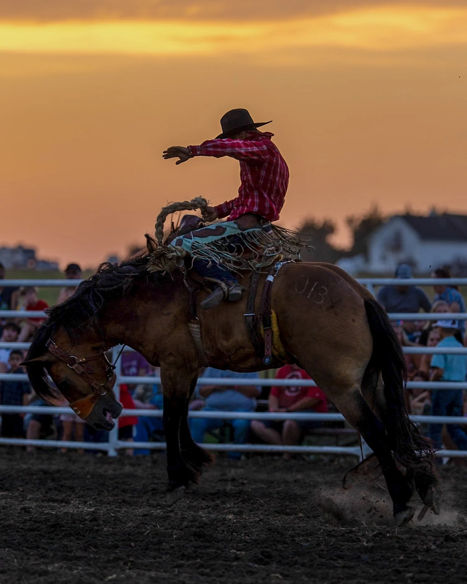 A rodeo rider wearing a cowboy hat and plaid shirt riding a bucking horse at sunset, with spectators watching in the background.