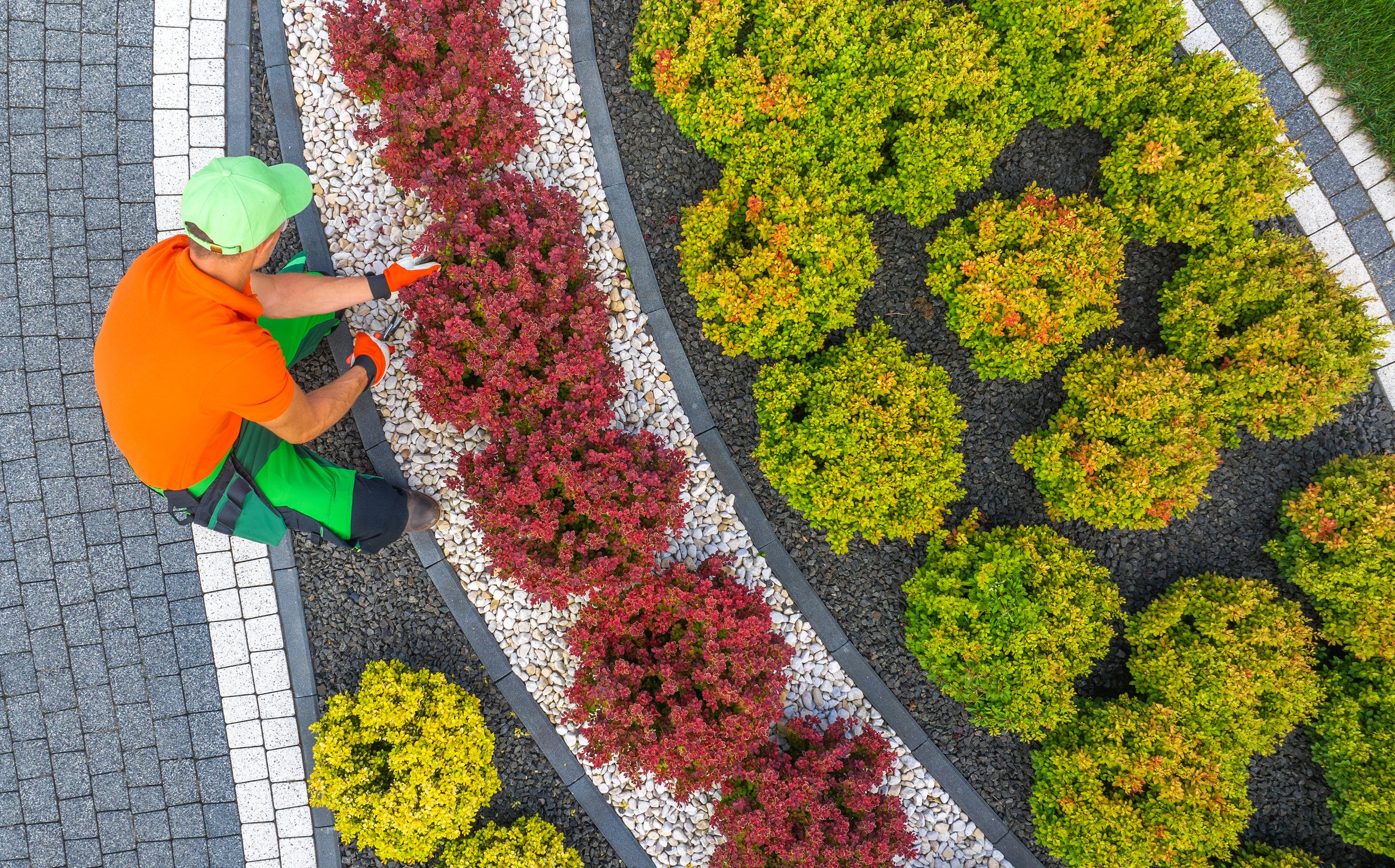 vecteezy_gardener-tending-to-colorful-shrubs-in-a-beautifully_48913631.jpg